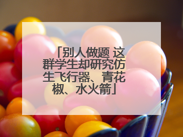 别人做题 这群学生却研究仿生飞行器、青花椒、水火箭